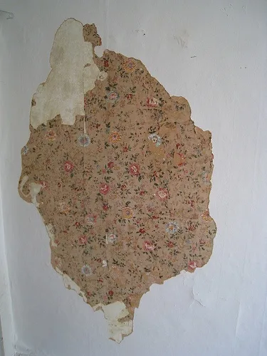 SCP-1205: The Enigmatic Wallflower