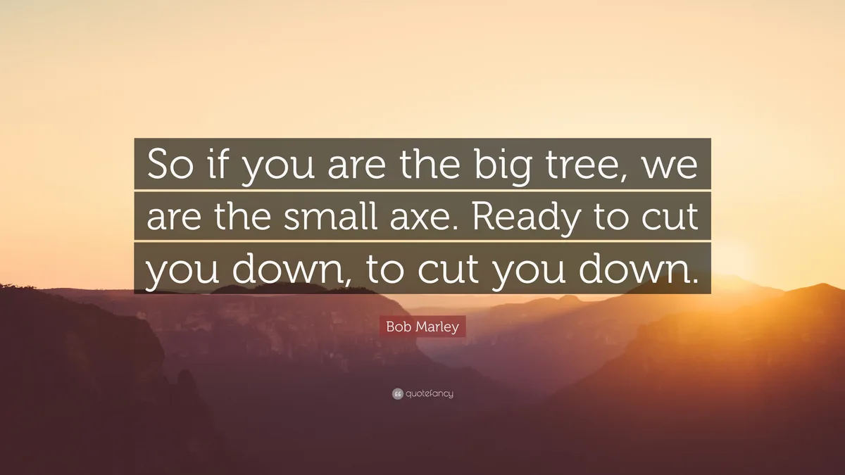 A scenic mountain landscape at sunset with overlaid text reading 'So if you are the big tree, we are the small axe. Ready to…