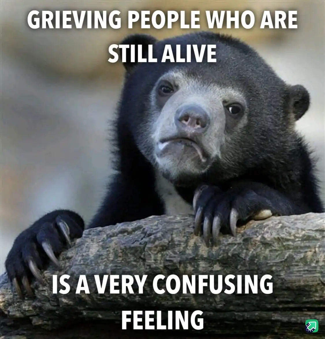 The Confession Bear: Secrets We All Share