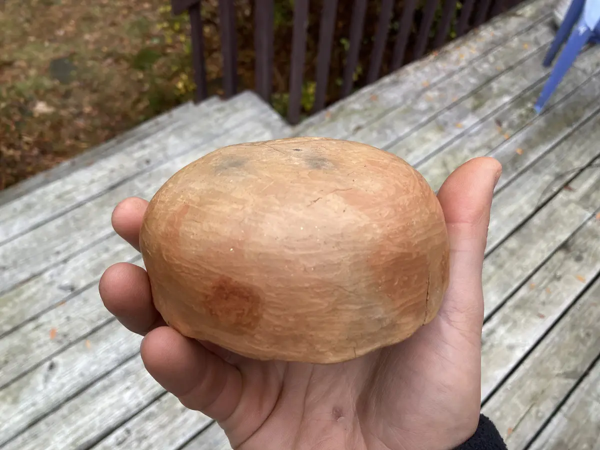 A hand holds a very large, smooth, light-brown nut against a blurred background of a wooden deck and railing. The overlaid…