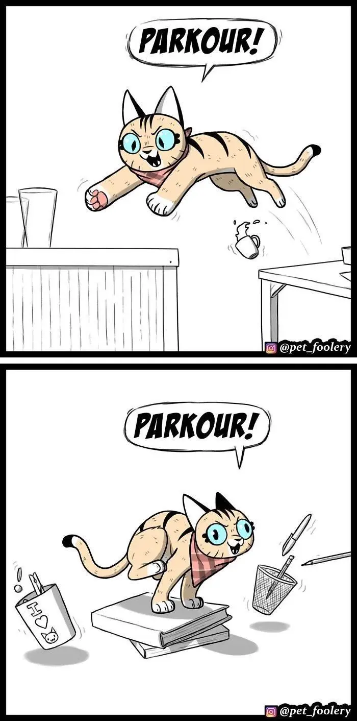 A two-panel cartoon shows a cat enthusiastically leaping between furniture in the top panel, shouting 'PARKOUR!' while…