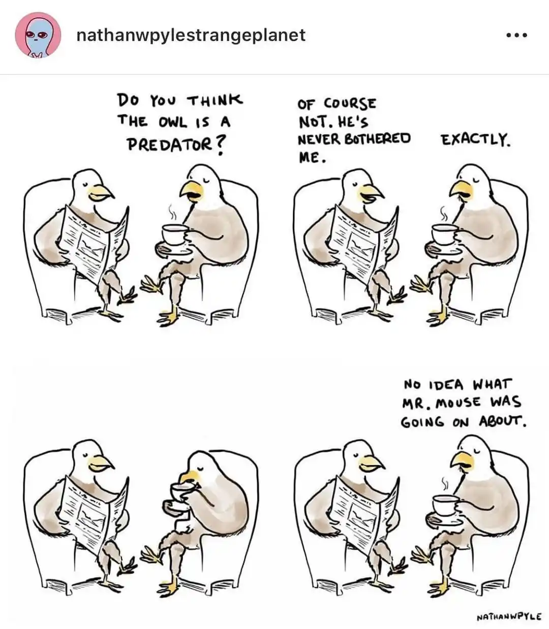 A four-panel comic strip by Nathan W. Pyle shows two seagulls sitting in chairs, one reading a newspaper and the other…