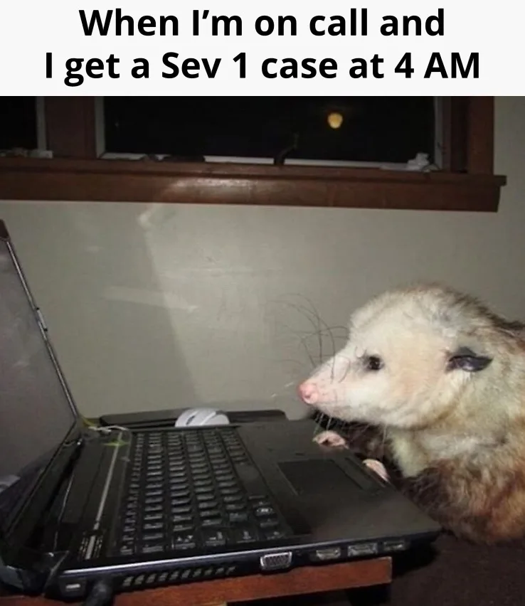 A close-up photo shows a small, furry opossum sitting beside an open laptop on a desk, looking intently at the screen. The…