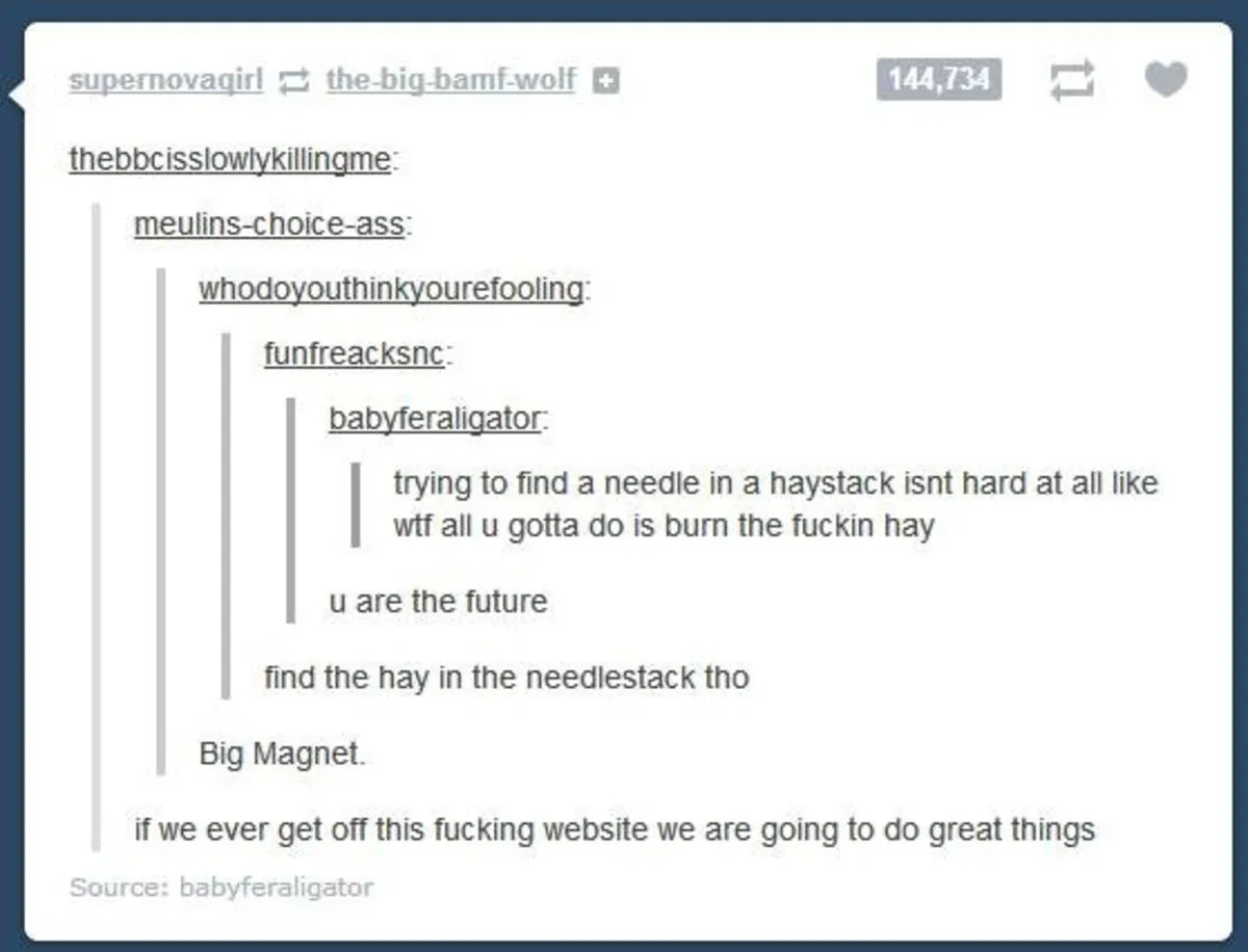 A screenshot of a Reddit comment thread where a user sarcastically suggests burning hay to find a needle, another replies 'u…