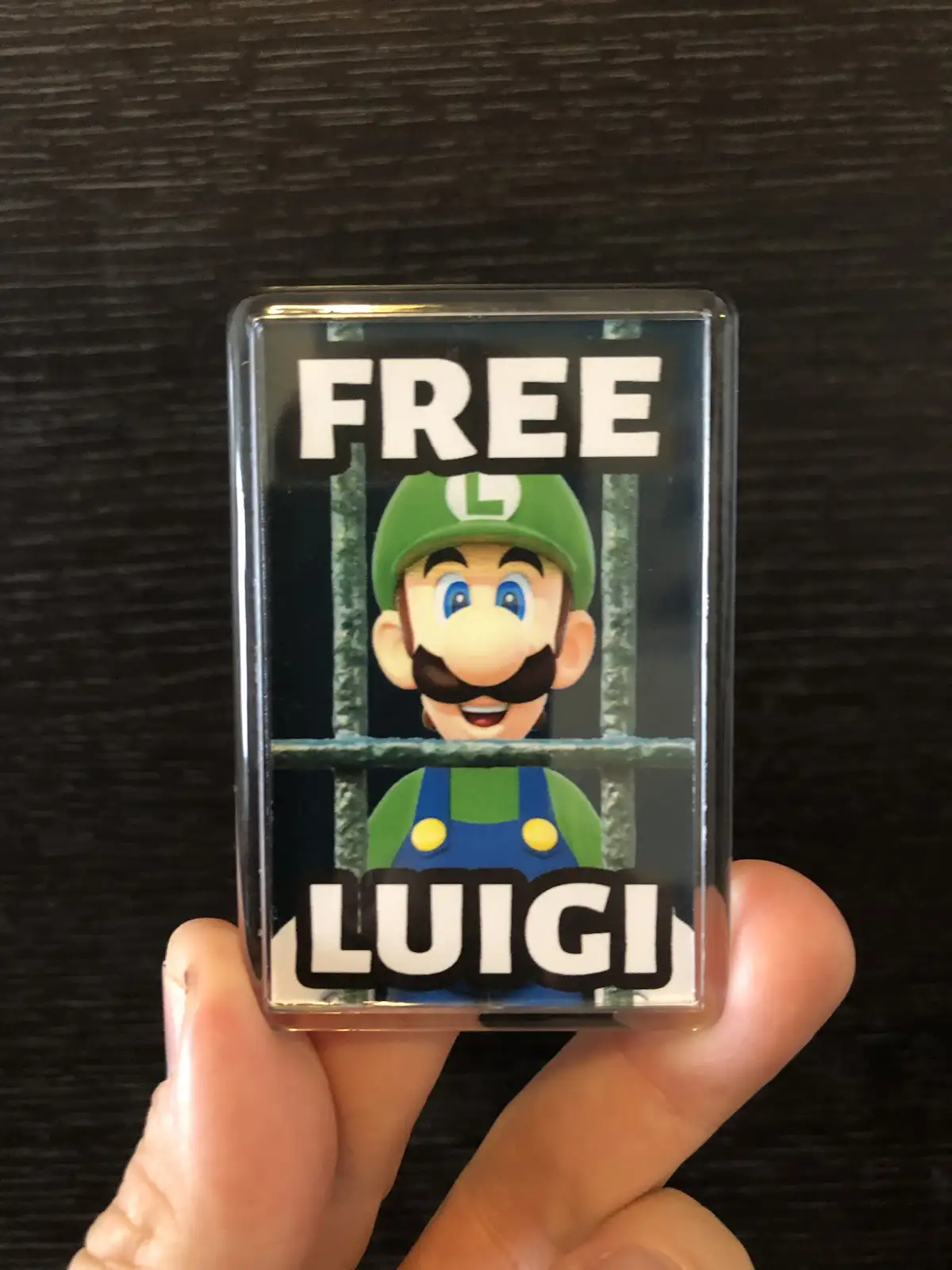 Let’s set Luigi free and bring him home!