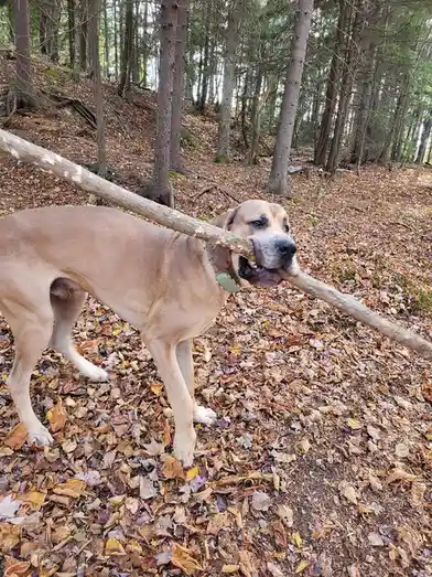 He Unearthed His New Toy from the Ground