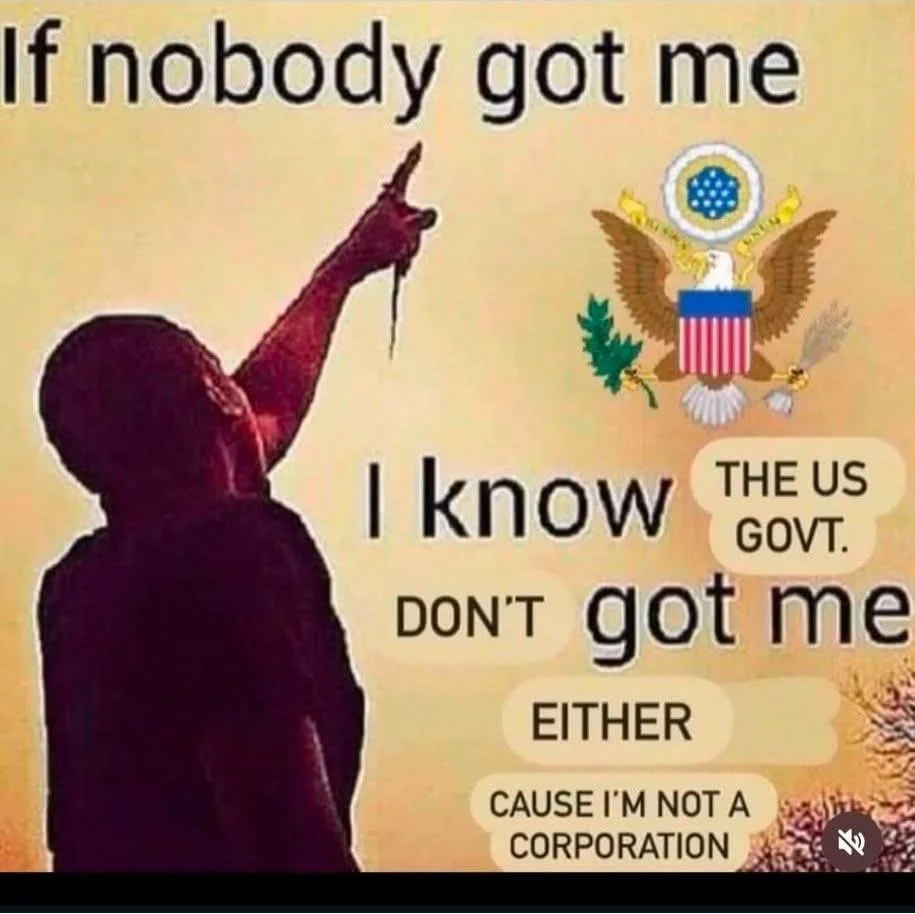 A silhouette of a person pointing upward is shown next to the Great Seal of the United States. Overlaid text reads: 'If…