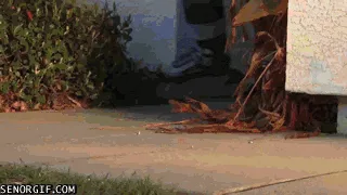Dive into Retro Gif Collection: Part 13