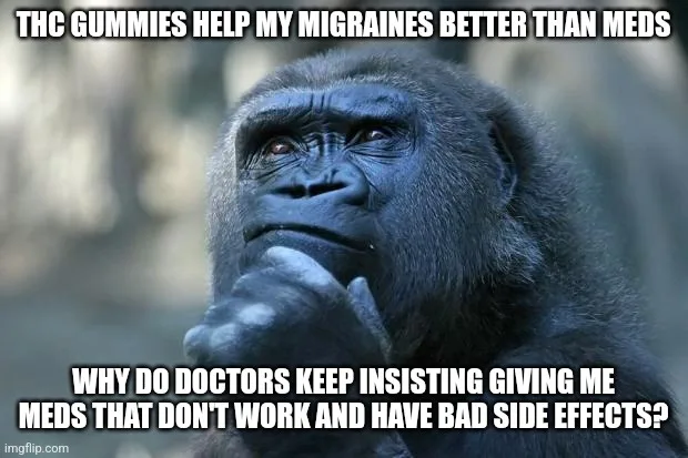 A close-up image of a contemplative gorilla with its hand on its chin, looking thoughtful. The text overlaid in white…
