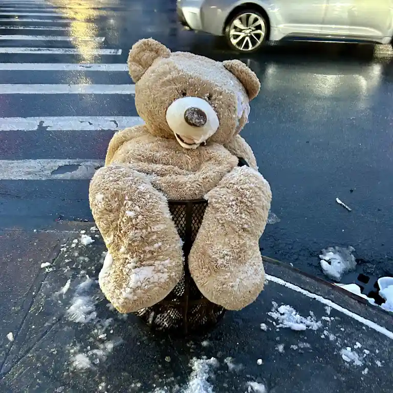 A brown teddy bear covered in snow sits in a metal trash can on a wet city street with a crosswalk and a passing car in the…