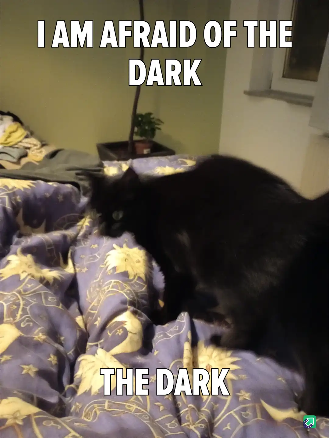 A black cat is lying on a purple and gold patterned bedspread in a dimly lit room, with the text 'I AM AFRAID OF THE DARK'…