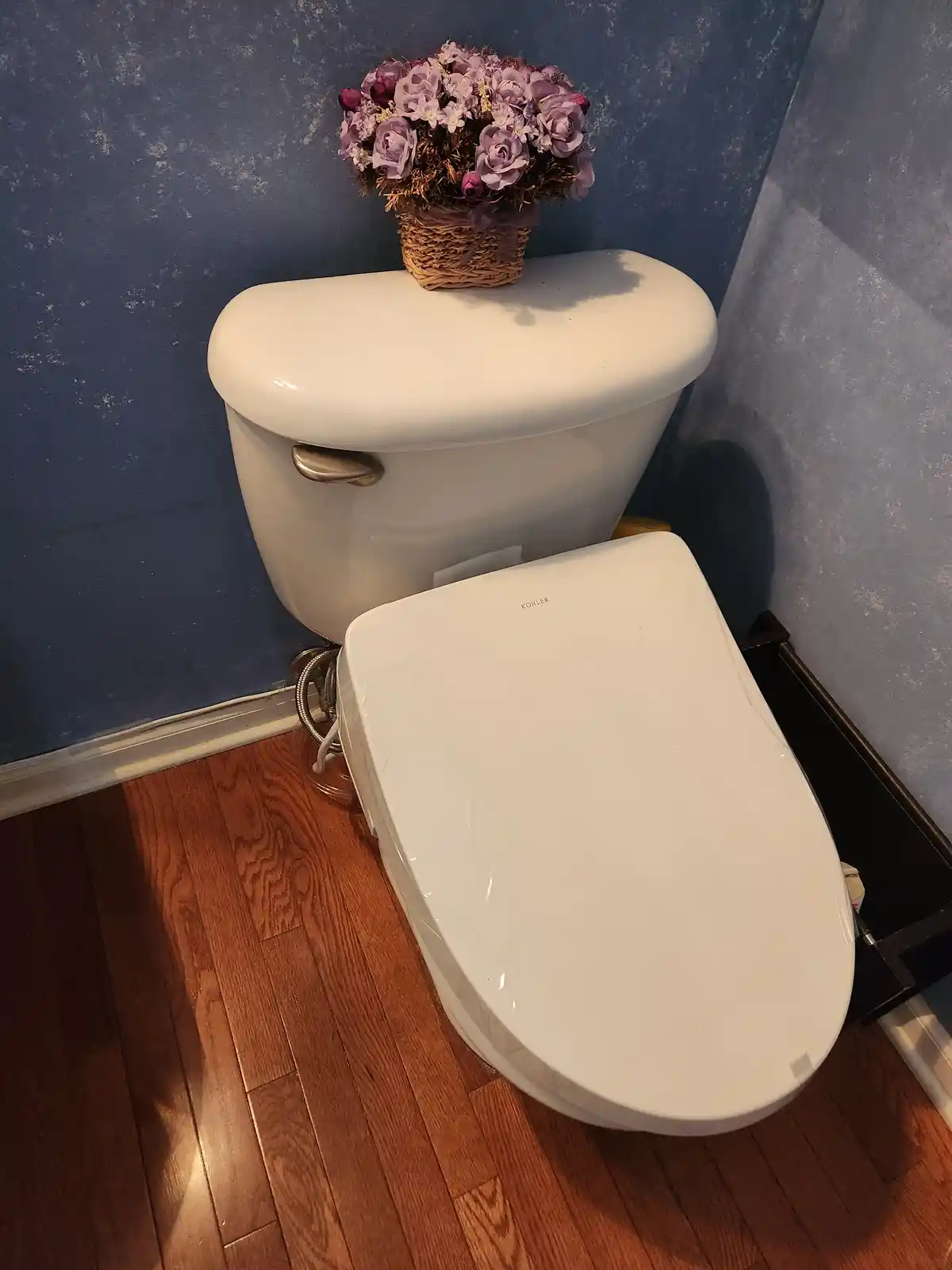 Exciting Updates on the Bidet Revolution