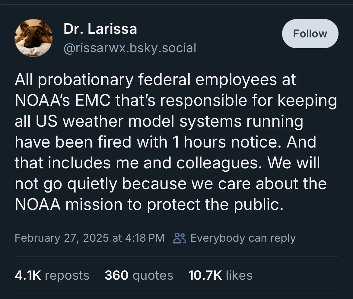 A screenshot of a social media post by 'Dr. Larissa' with a dog in the profile picture, announcing that probationary federal…