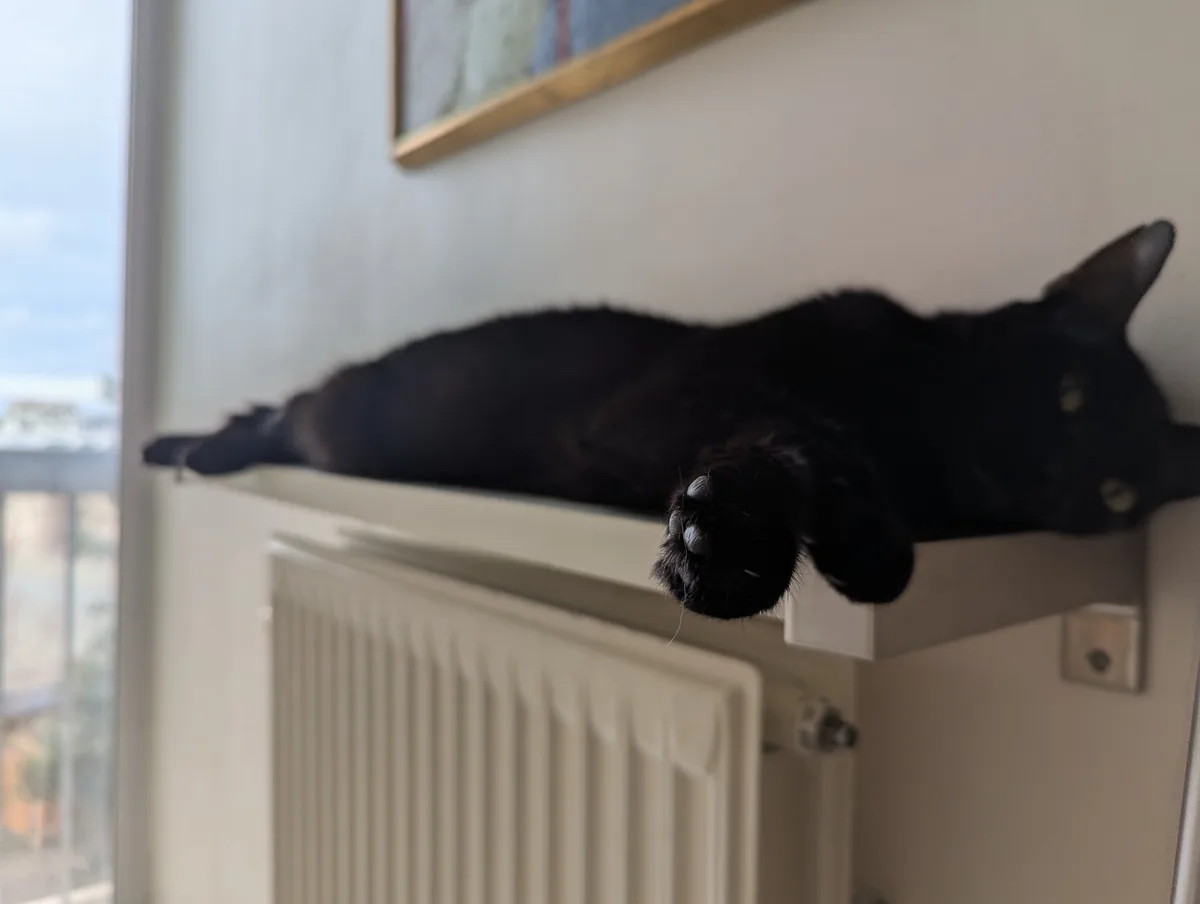 A black cat is stretched out and lying on its side atop a white shelf mounted above a radiator, with one paw dangling down…