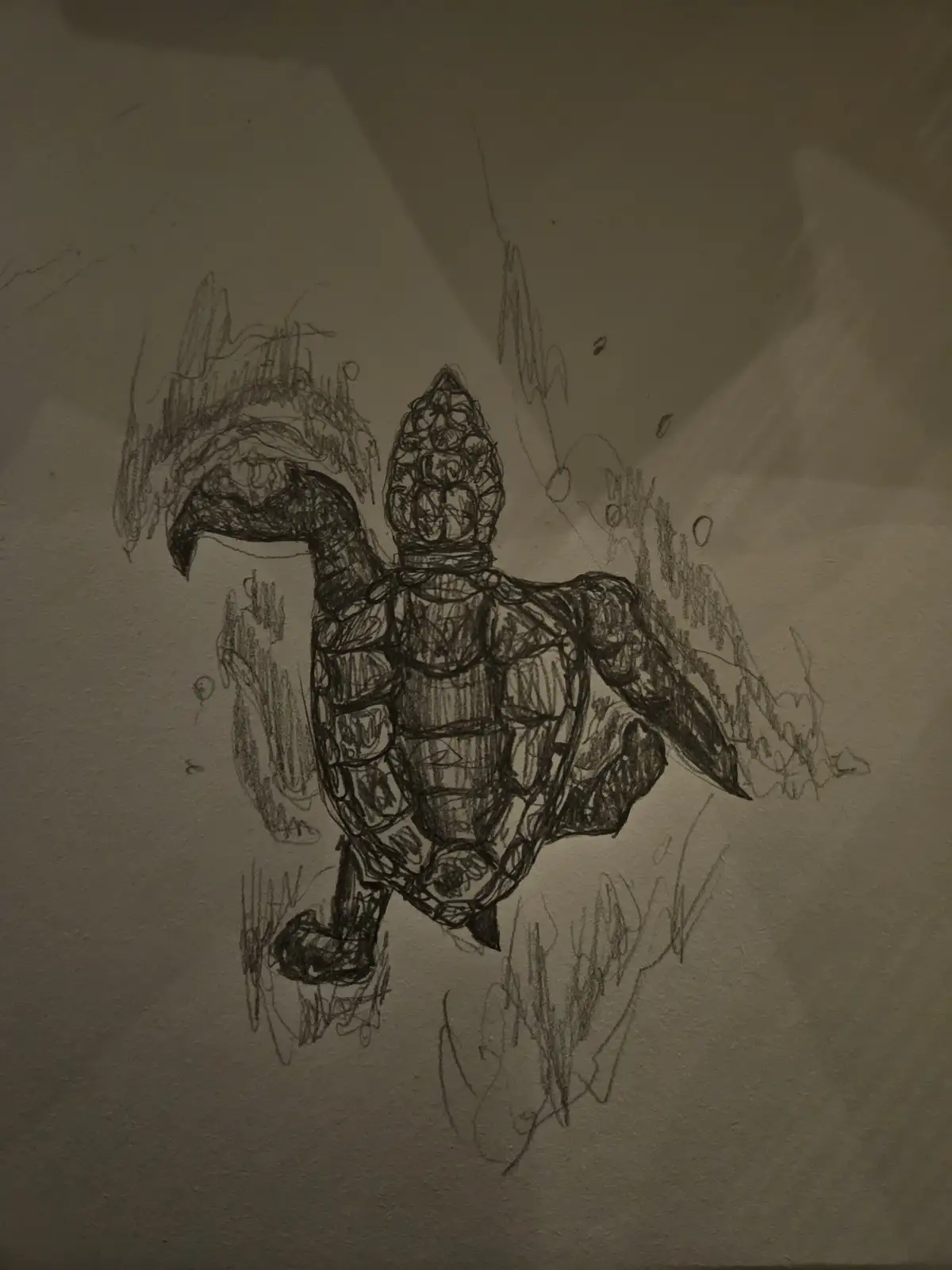 Artistic Turtle Drawing Unveiled