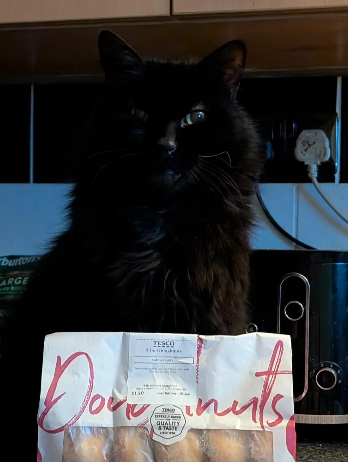 A black cat with wide, intense eyes stares directly at the camera, positioned behind a bag of Tesco 5 Jam Doughnuts. The…
