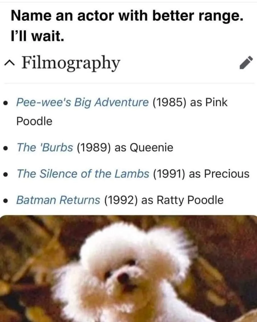 The image displays a screenshot of a fictional filmography listing for an actor, humorously claiming roles as a pink poodle…