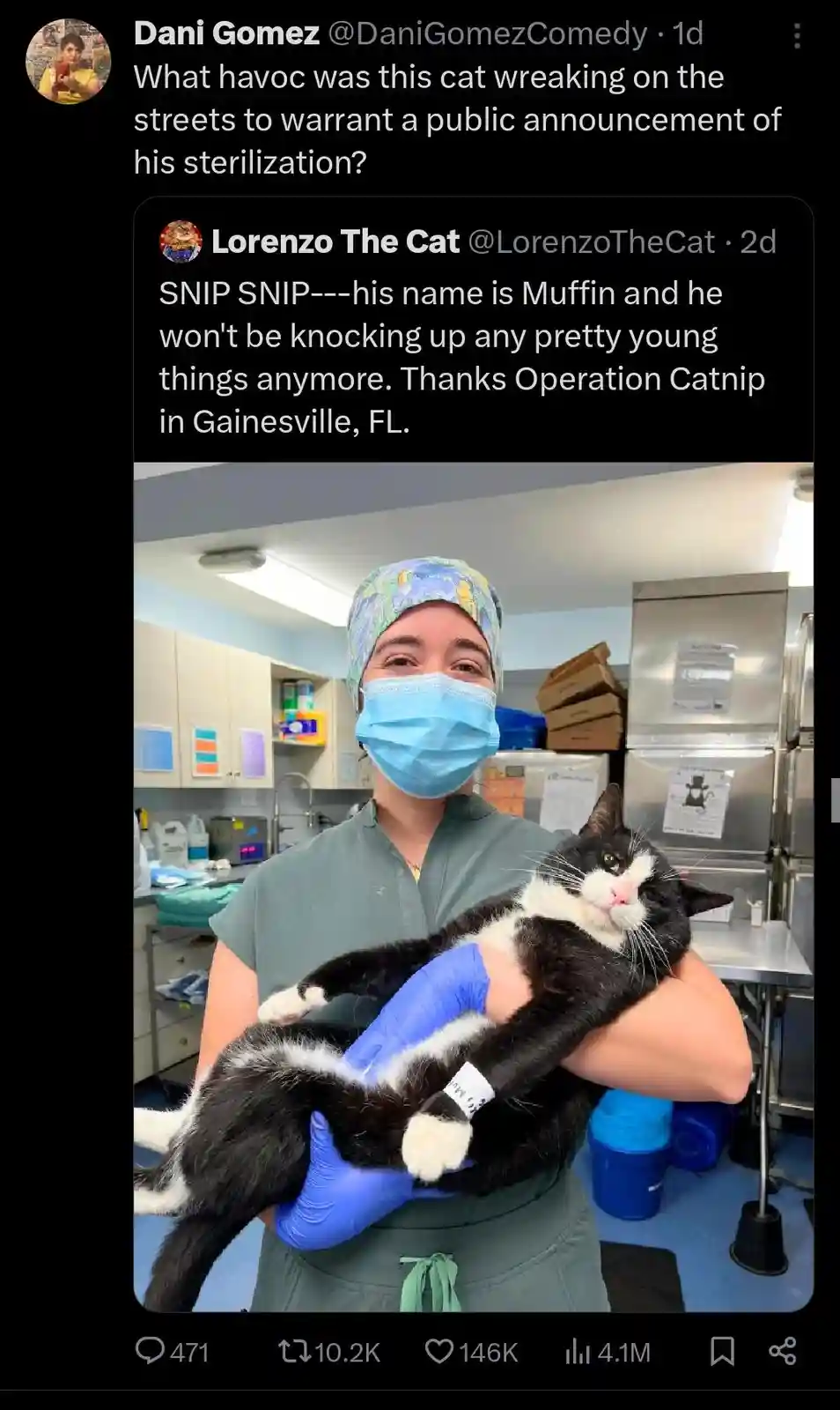 A black and white cat with a pink nose is being held by a person in green scrubs and blue gloves inside a veterinary clinic…