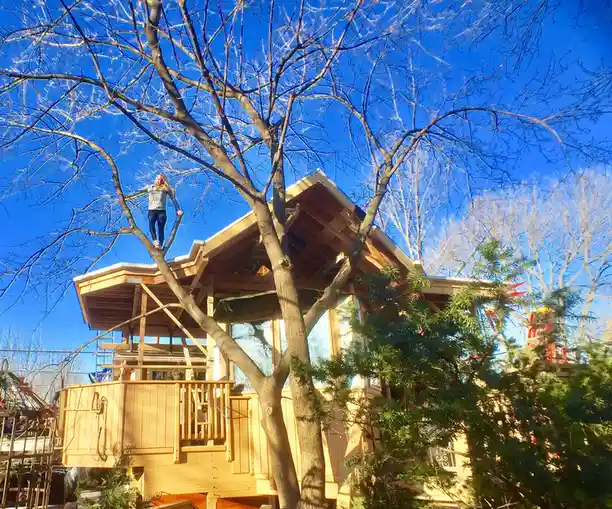 A person stands on a thick branch of a bare tree, with a large wooden treehouse structure built around the tree's trunk…