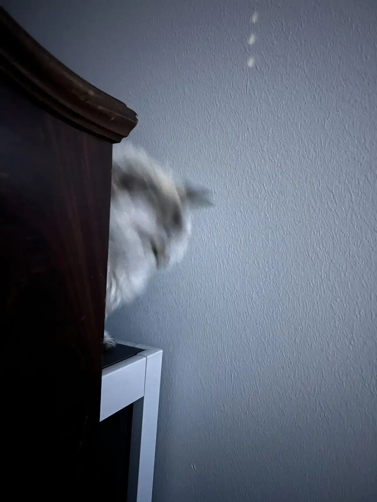 A blurry white cat with grey markings is captured mid-motion, leaping or pouncing from the top of a dark wooden piece of…