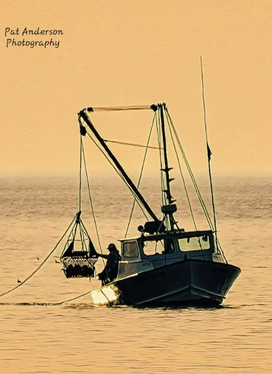 A stylized, sepia-toned photograph shows a silhouette of a fishing boat on calm water, with a fisherman operating a large…