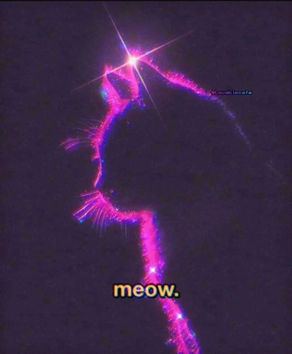 A cosmic nebula or galaxy is shaped to resemble a cat, outlined in vibrant pink and purple with starbursts, and the text…