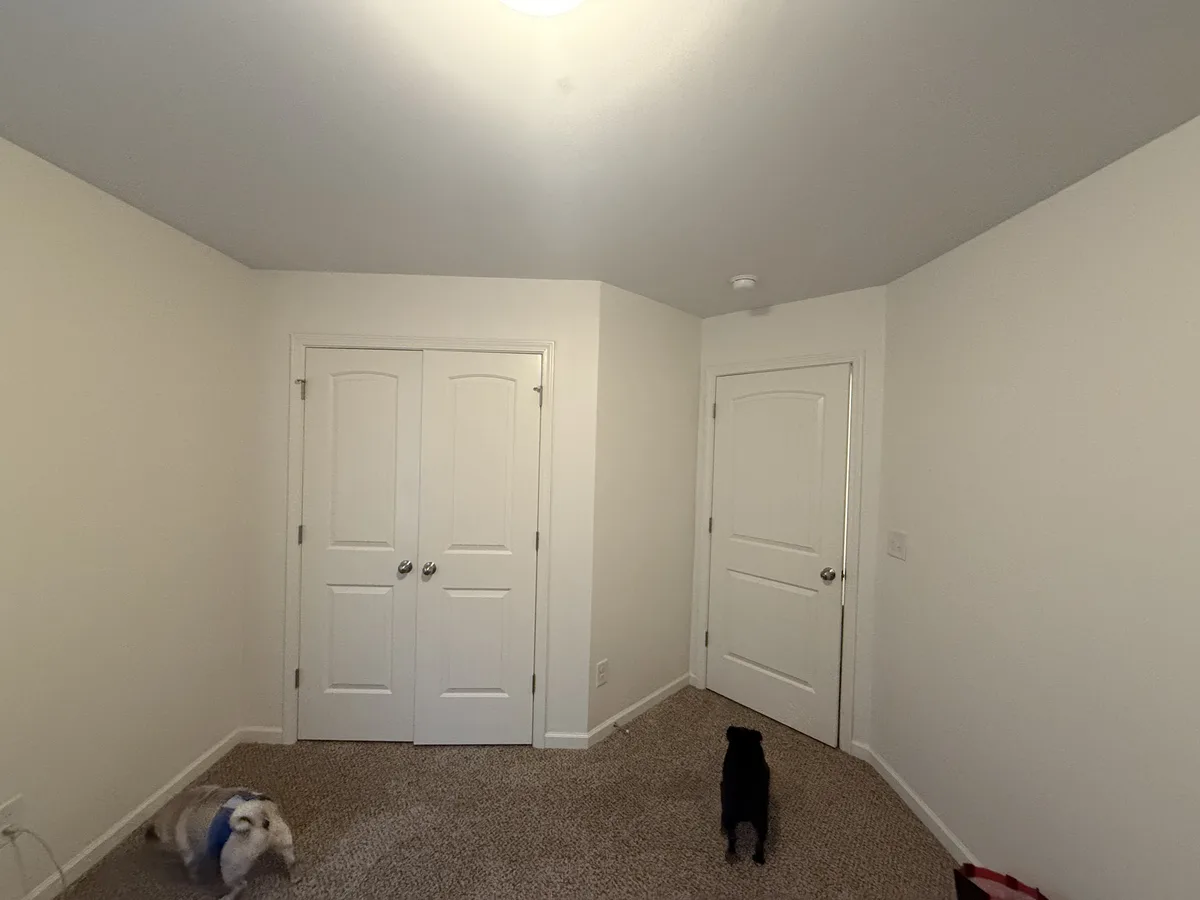 An empty room with beige carpet and white walls features two dogs: a small black dog standing near a white door and a white…