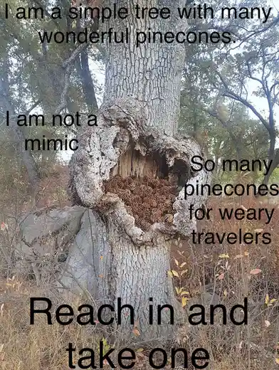 A tree with a large hollow in its trunk filled with pinecones, overlaid with text that reads 'I am a simple tree with many…
