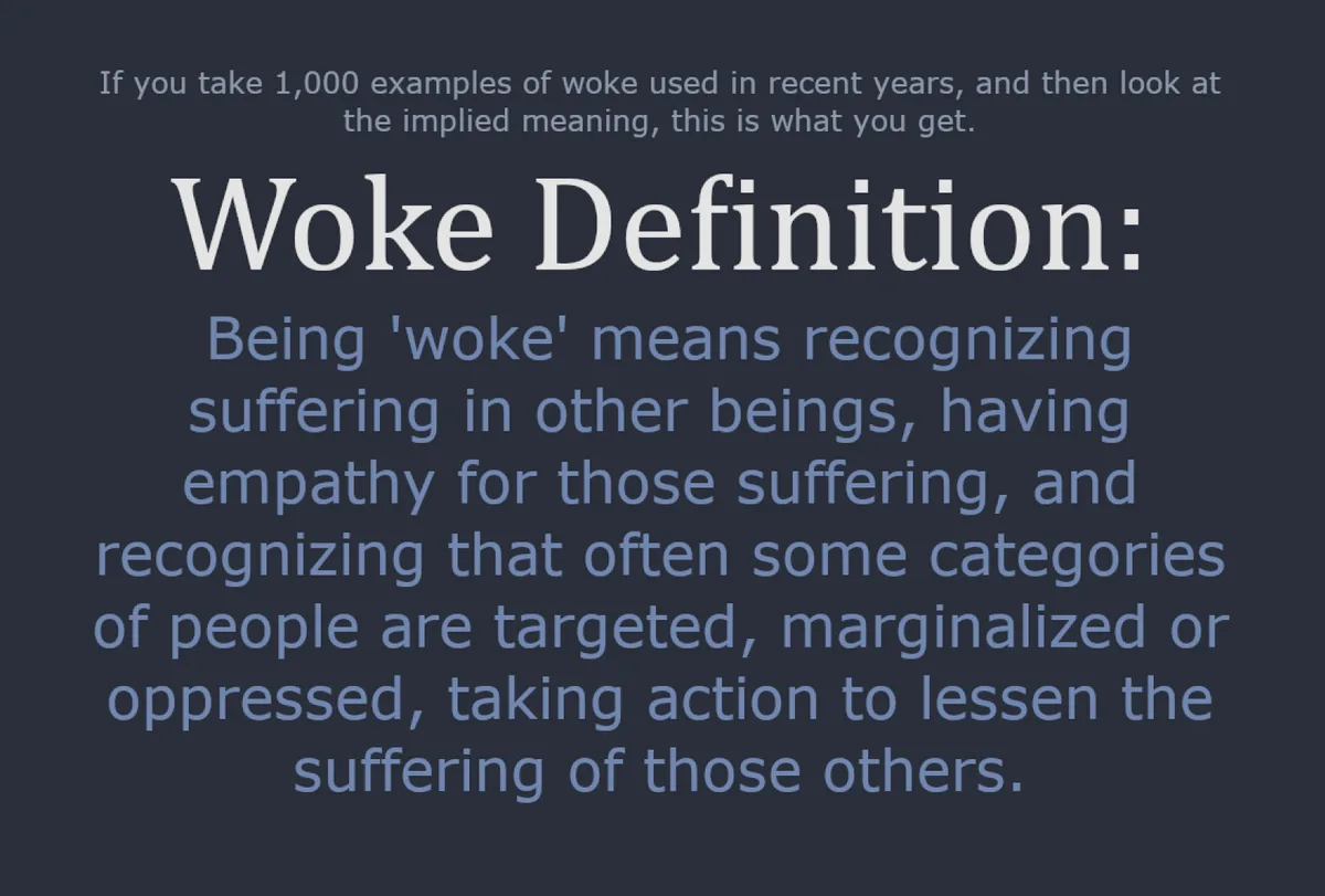 A dark gray background displays white and light blue text. The top text reads, 'If you take 1,000 examples of woke used in…