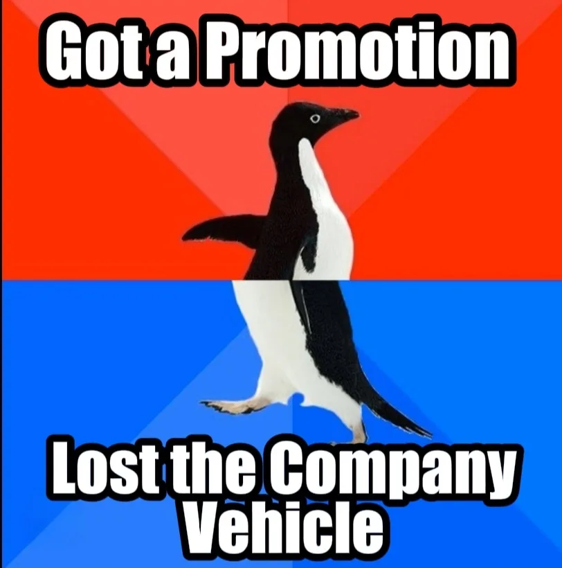 An adélie penguin stands centered against a red and blue background, with the text 'Got a Promotion' at the top and 'Lost…