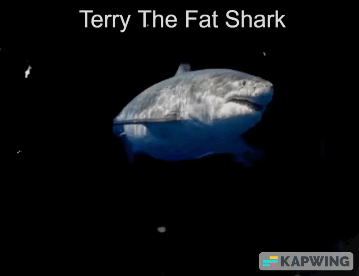 The image shows a sequence of panels featuring a large, cartoonish shark named 'Terry The Fat Shark' floating in space. In…