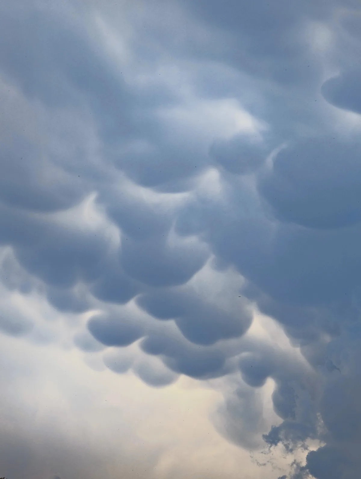 The image shows a sky filled with lenticular clouds, which have a distinctive lens-like, stacked, and rippling appearance…