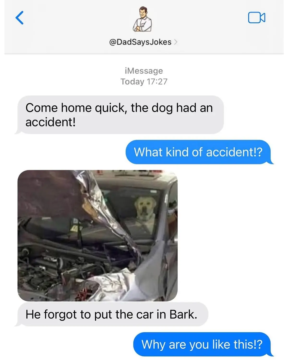 An iMessage screenshot shows a conversation where one person urgently asks the other to come home because 'the dog had an…