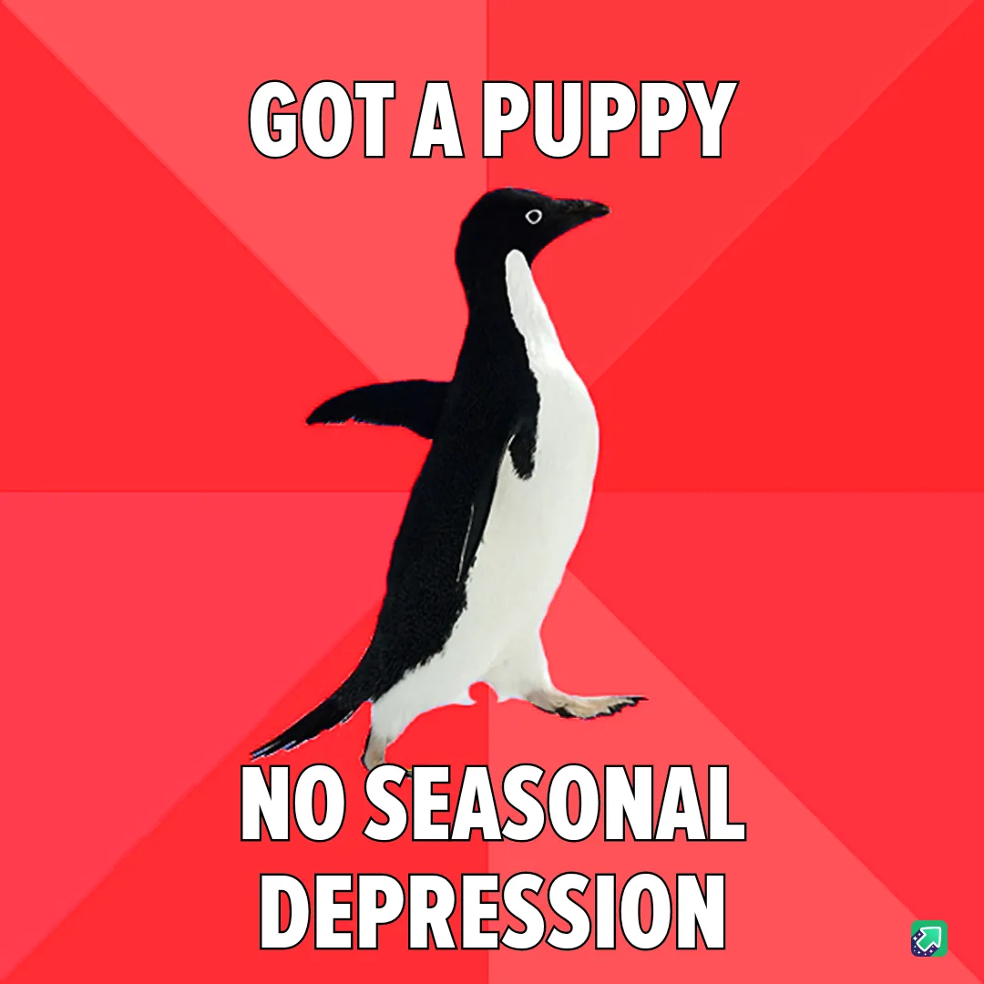 A black-and-white penguin stands against a red background with diagonal stripes. The text at the top reads 'GOT A PUPPY' and…