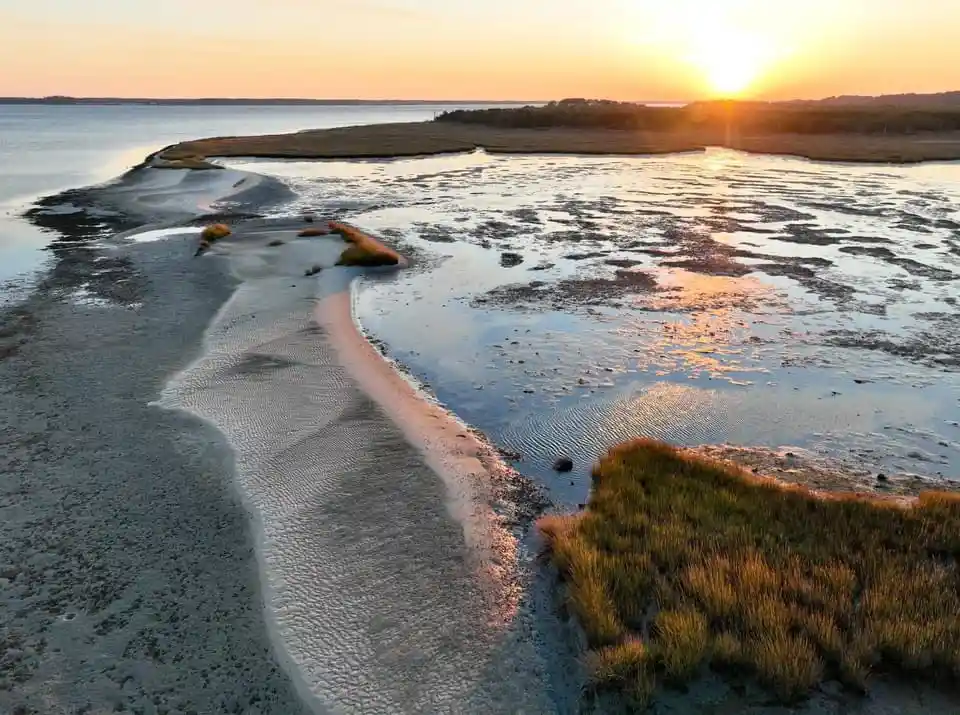 An aerial photo of a tidal marsh at sunset, showing winding channels of water and exposed mudflats with grassy patches…