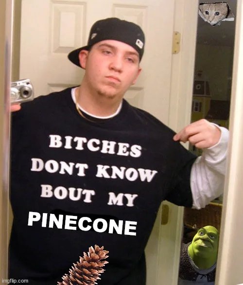 A young man in a black t-shirt with the text 'BITCHES DONT KNOW BOUT MY PINECONE' points to the shirt while taking a mirror…