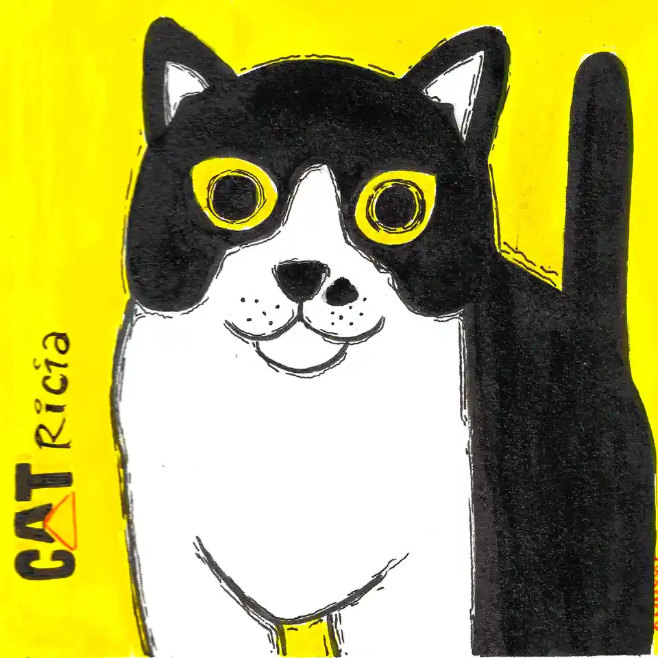 A cartoon drawing of a black and white cat with large yellow-ringed eyes and a raised black paw, set against a bright yellow…