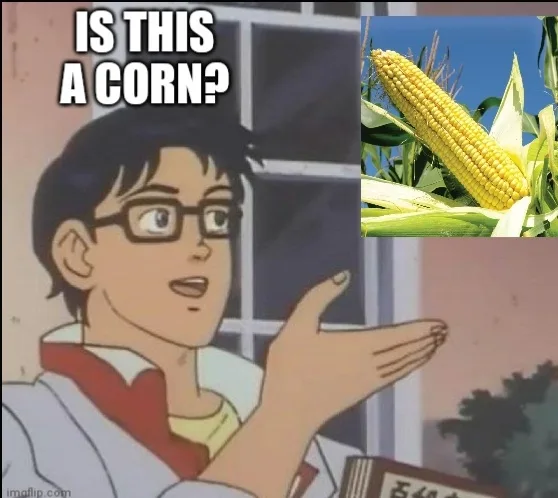 An anime character with glasses looks confused and gestures toward a picture of a yellow corn cob on the right side of the…