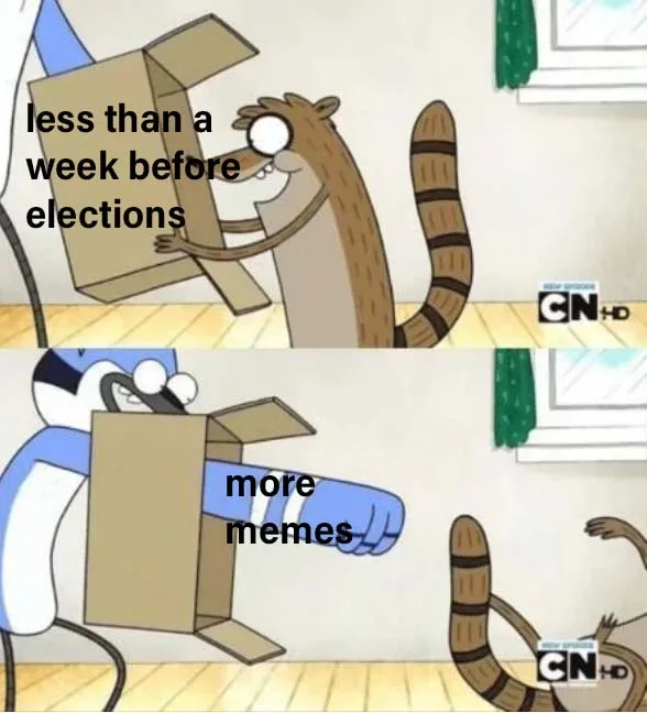 Two-panel cartoon meme featuring a raccoon and a blue bird. In the top panel, the raccoon holds a cardboard box with text…