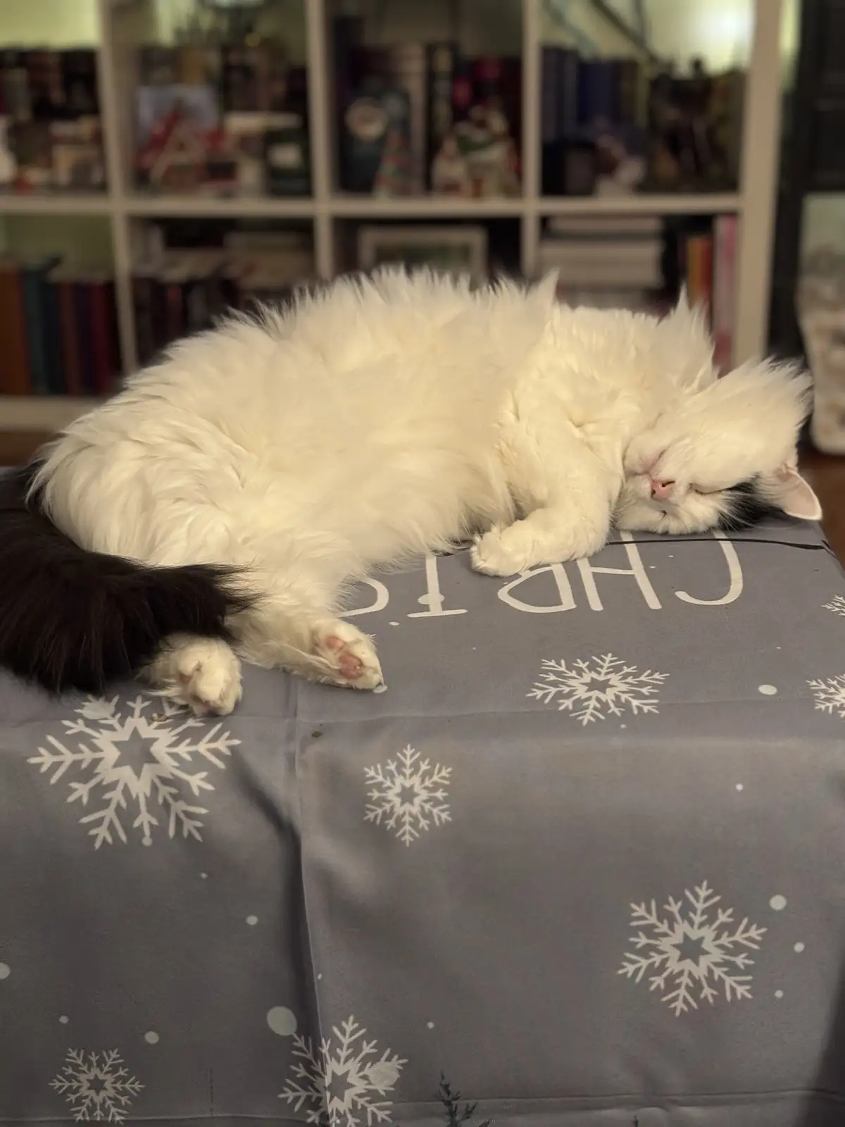 A fluffy white cat with a black tail is curled up and sleeping soundly on a grey fabric surface decorated with white…