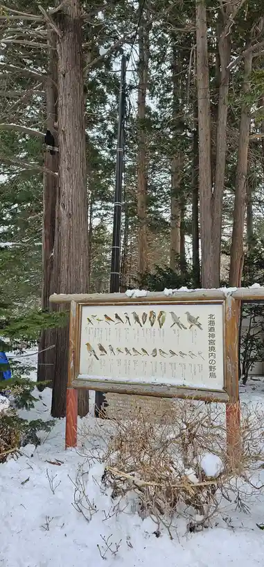 A snowy forest scene features a wooden bird identification sign listing various Japanese bird species with illustrations and…