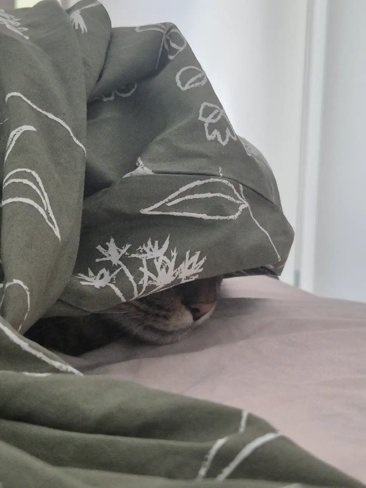 A cat is partially hidden under a green blanket with white leaf and plant patterns, only its nose and whiskers visible…