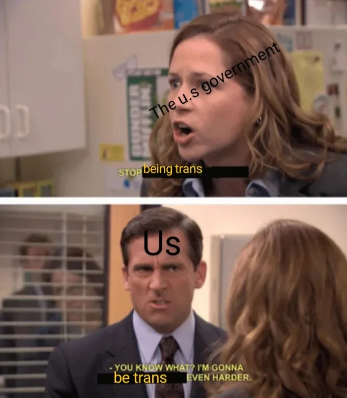The top panel shows a woman with text overlaid reading 'The u.s government being trans'. The bottom panel shows a man with…