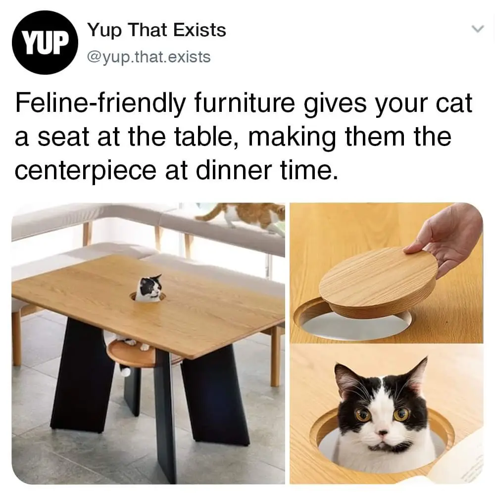 A collage shows a modern wooden dining table with a circular hole in its surface, through which a black-and-white cat is…