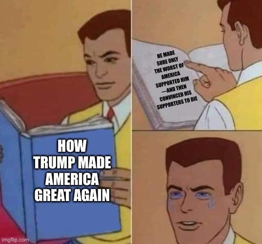 A three-panel comic strip featuring a man reading a book titled 'HOW TRUMP MADE AMERICA GREAT AGAIN'. In the top right…