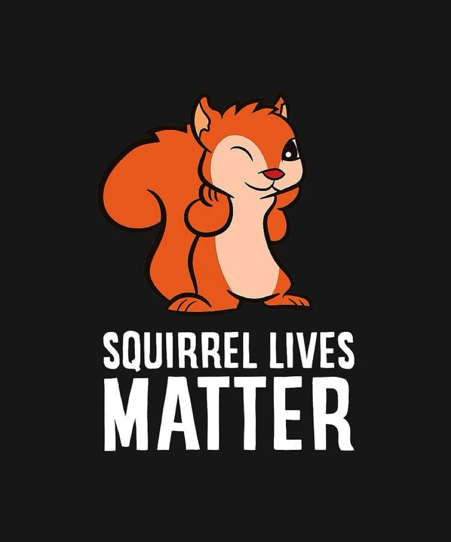 A cartoon illustration of a smiling orange squirrel with a large bushy tail, sitting upright against a solid black…
