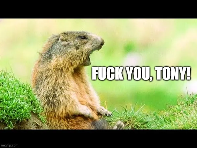 A close-up photo of a marmot sitting upright on a grassy mound, its mouth wide open as if yelling. Bold white text with a…