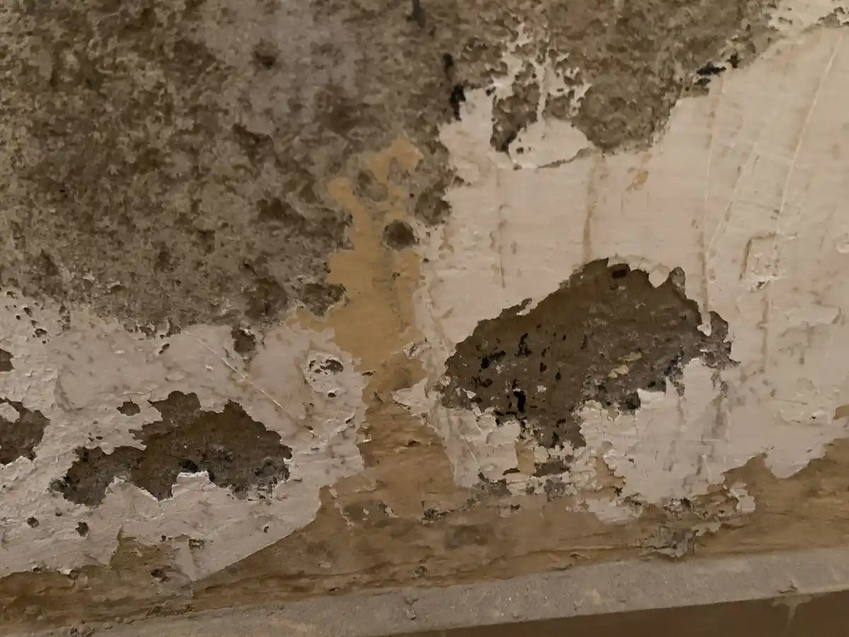 The Surprising Effects of Wall Designs