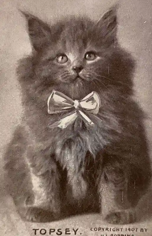 A vintage sepia-toned photograph from 1907 shows a fluffy, long-haired kitten named Topsey sitting upright and looking…