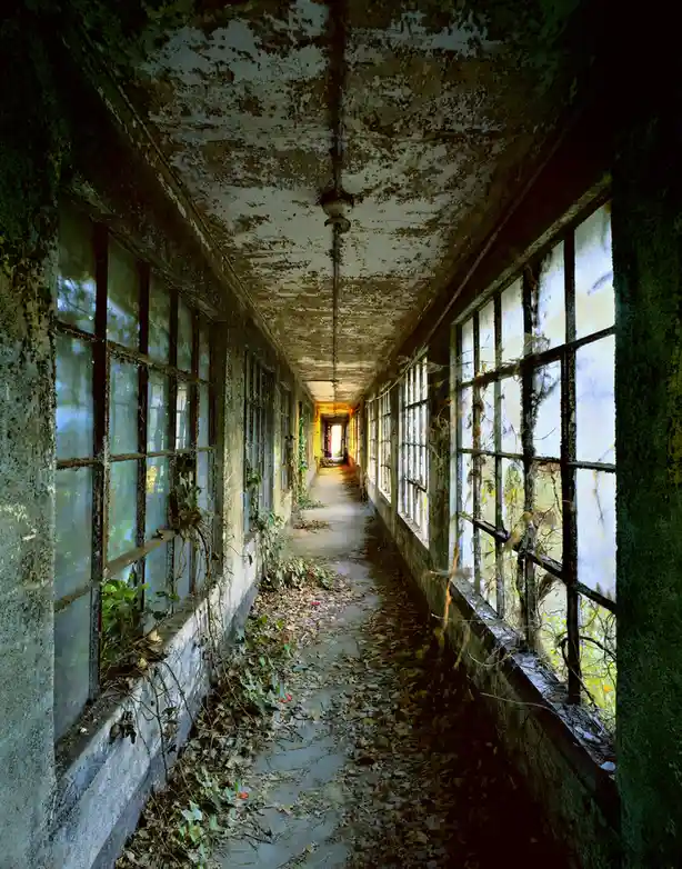 A Glimpse into Ellis Island's History